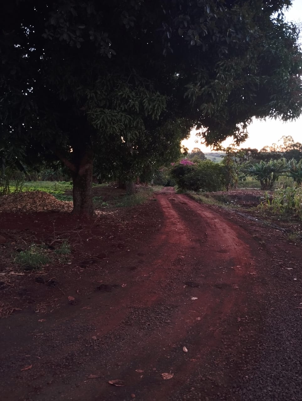Imagem de uma estrada de terra